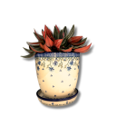 G45 Bunzlau bloempot 2415X Diversen G45 Bunzlau bloempot 2415X Diversen